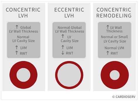 concentric lv remodelling|eccentric vs concentric Lv hypertrophy.